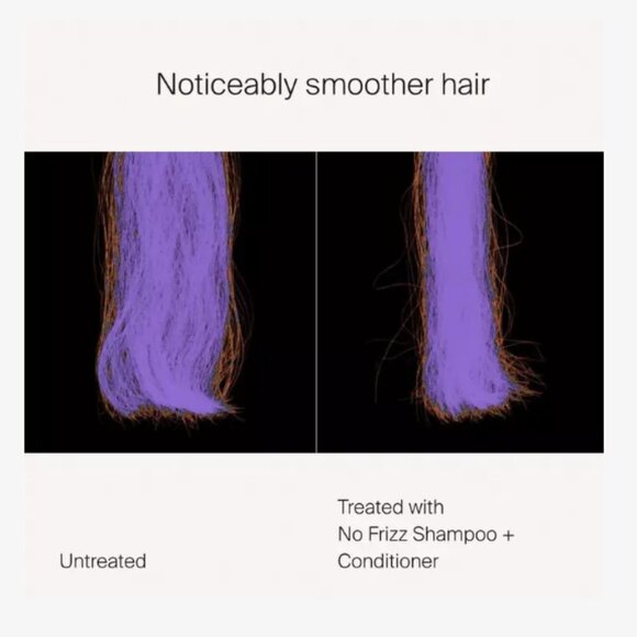 Living Proof (NO) FRIZZ Shampoo for Volume + Fullness - Picture 2 of 2